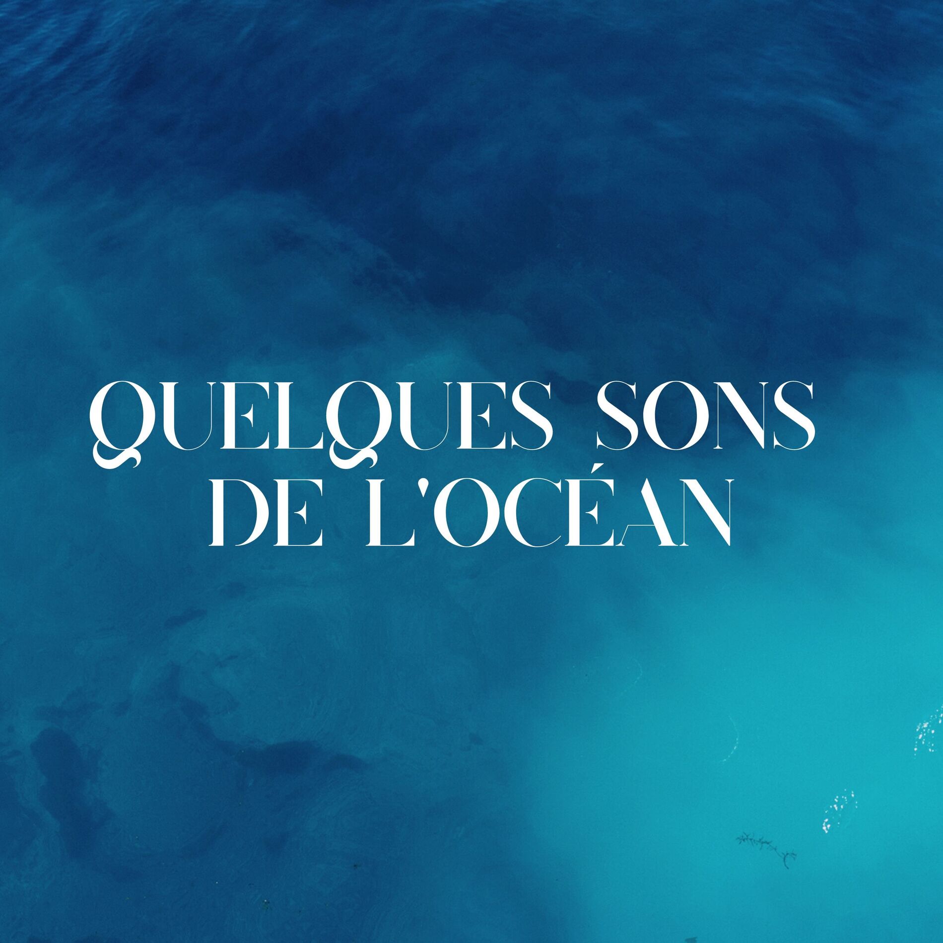 Album cover of Quelques sons de l'océan