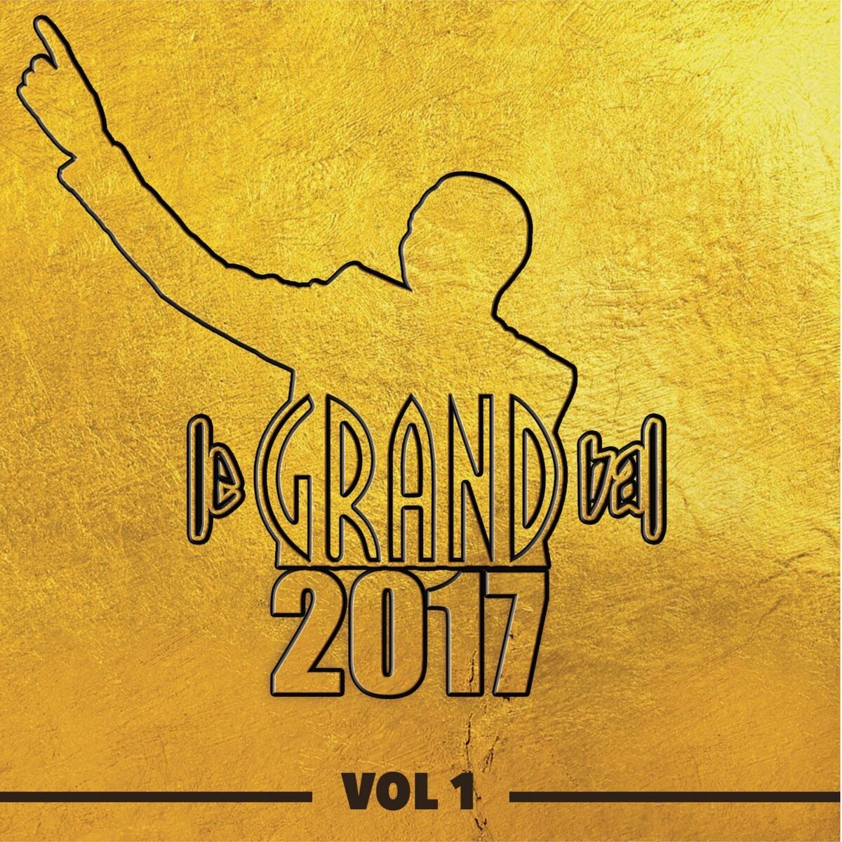 Album cover of Le Grand Bal 2017, Vol. 1 (Live)