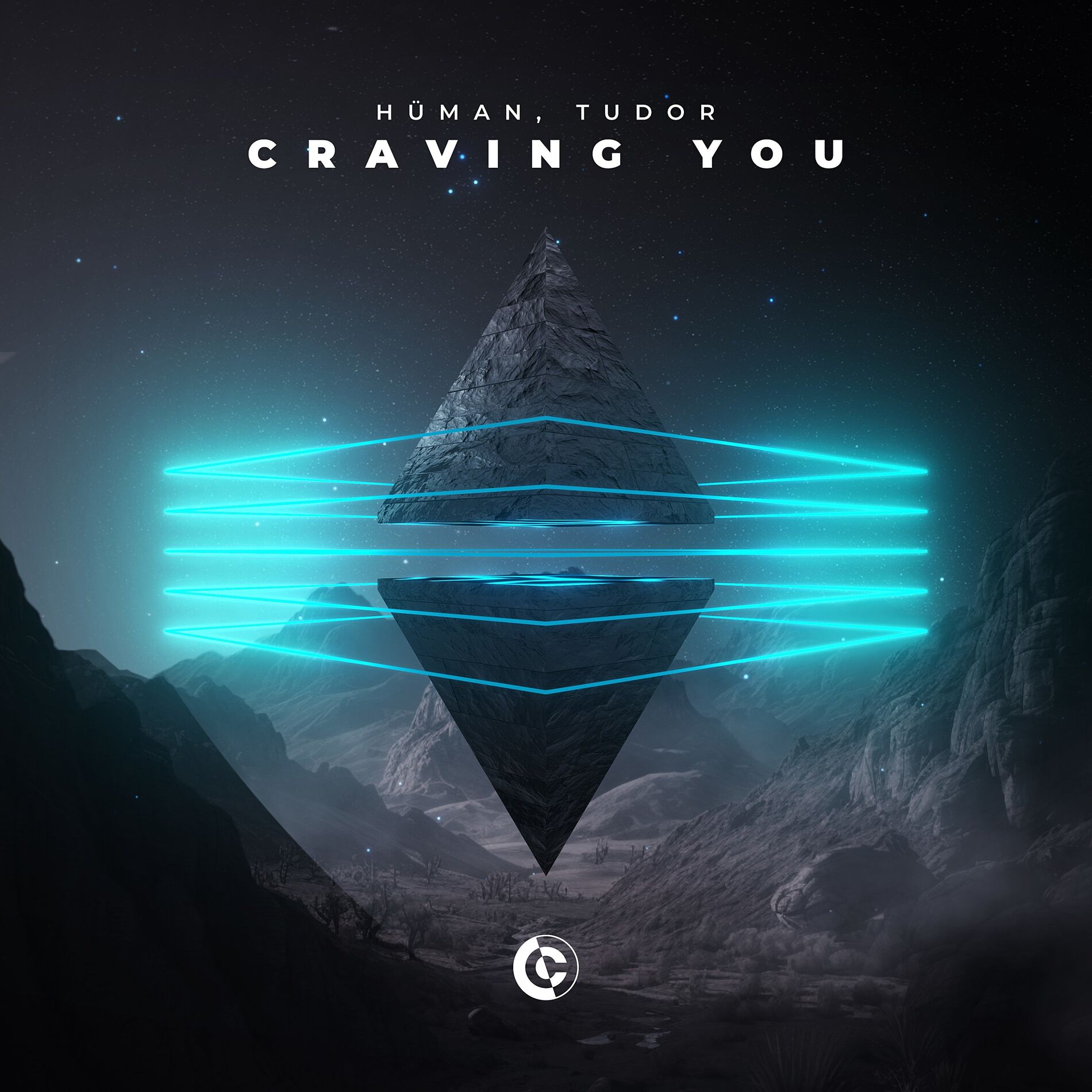 Album cover of Craving You