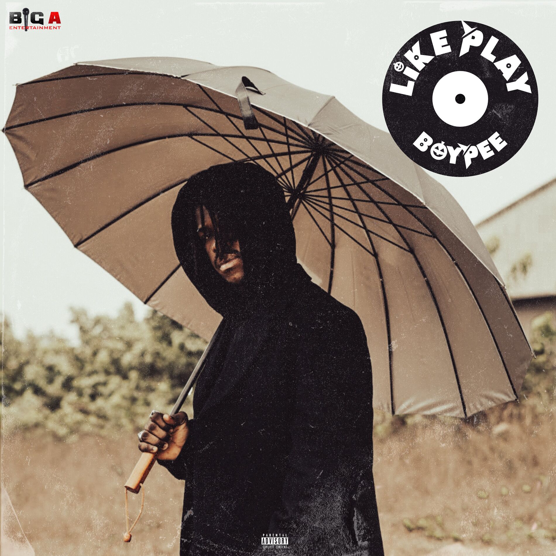 Album cover of Like Play