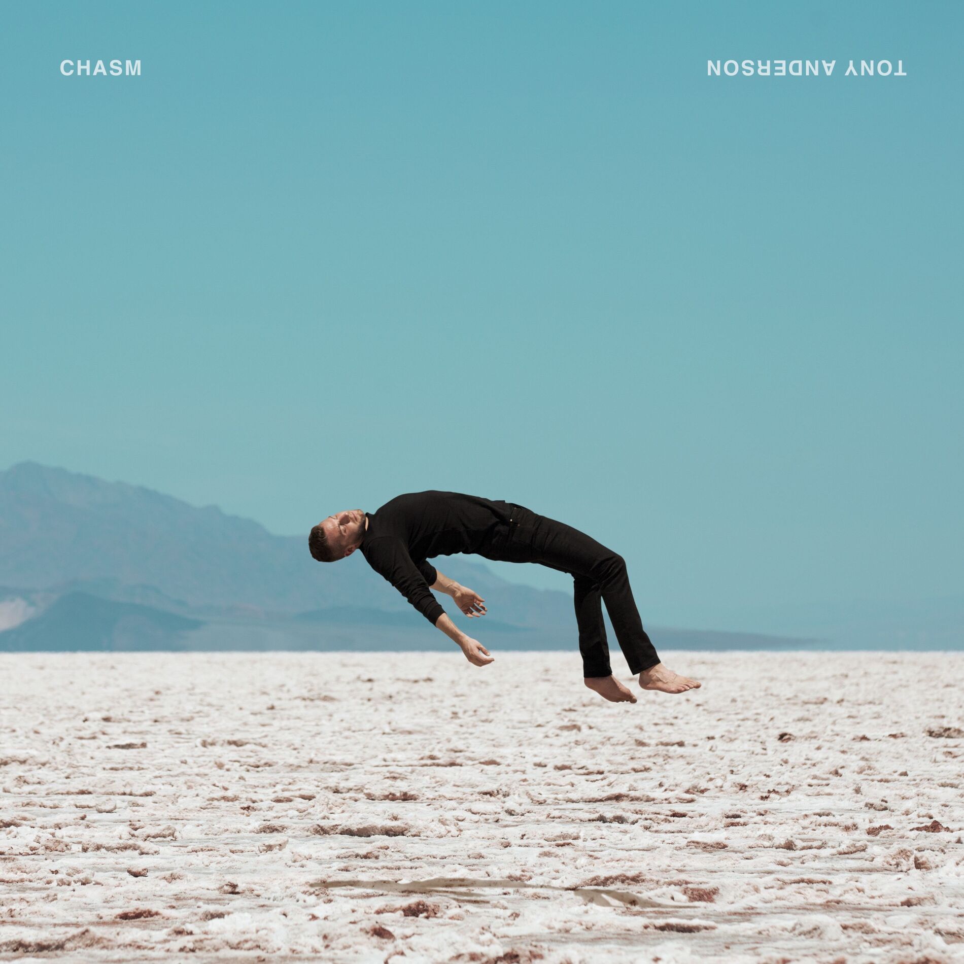 Album cover of Chasm