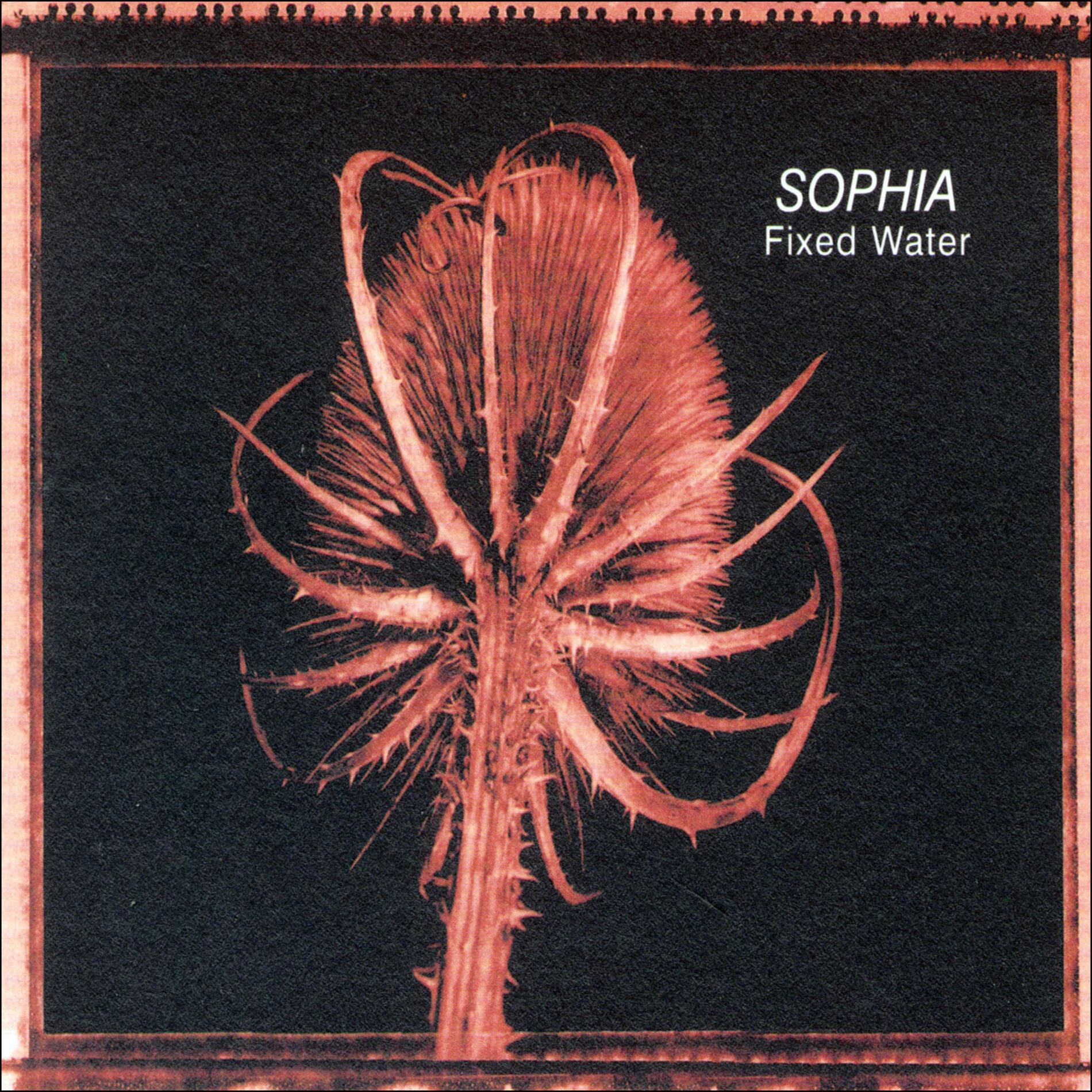 Album cover of Fixed Water