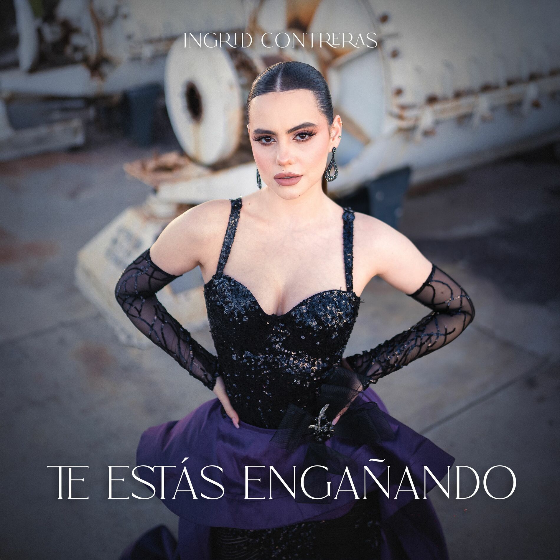 Album cover of Te Estás Engañando