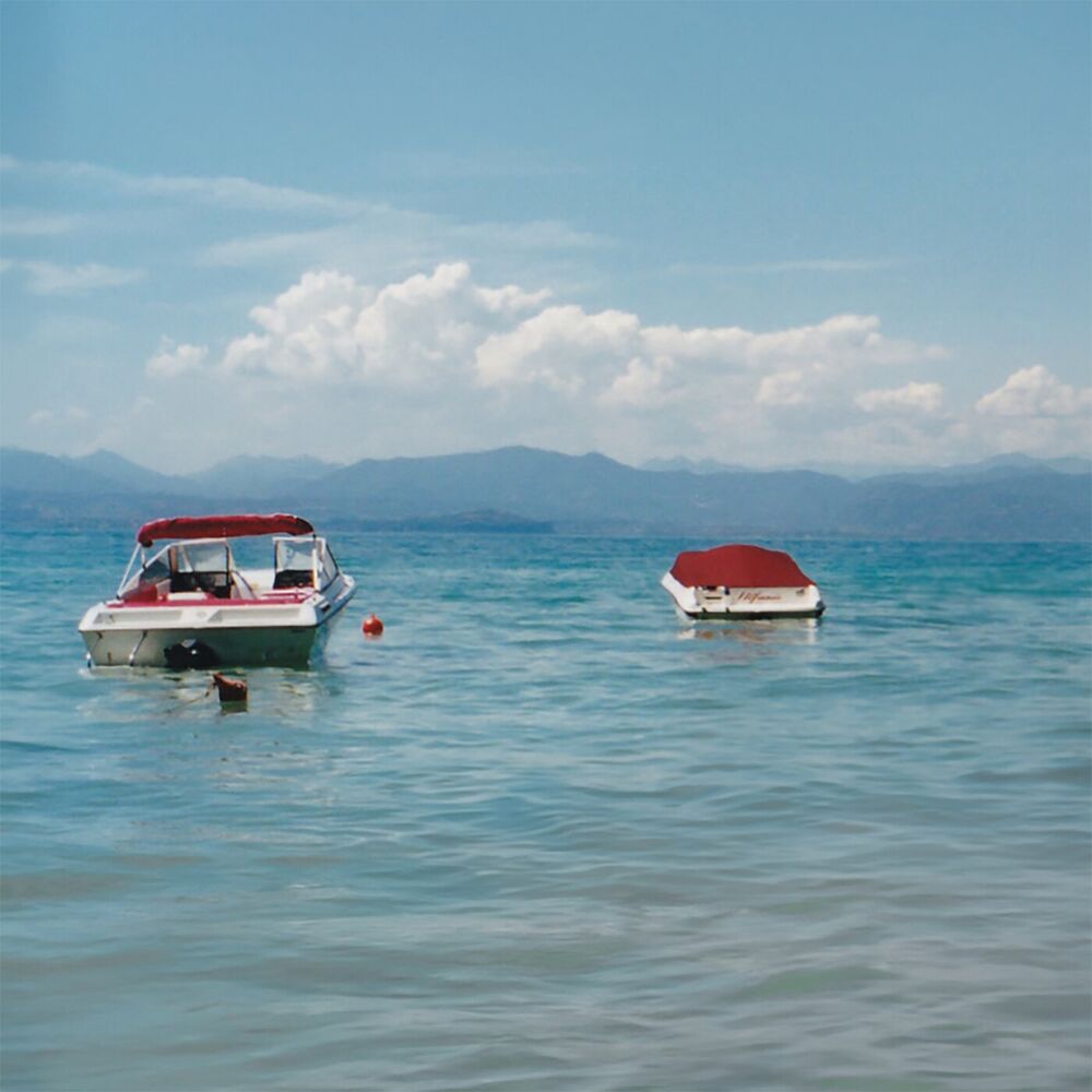 Picture of See