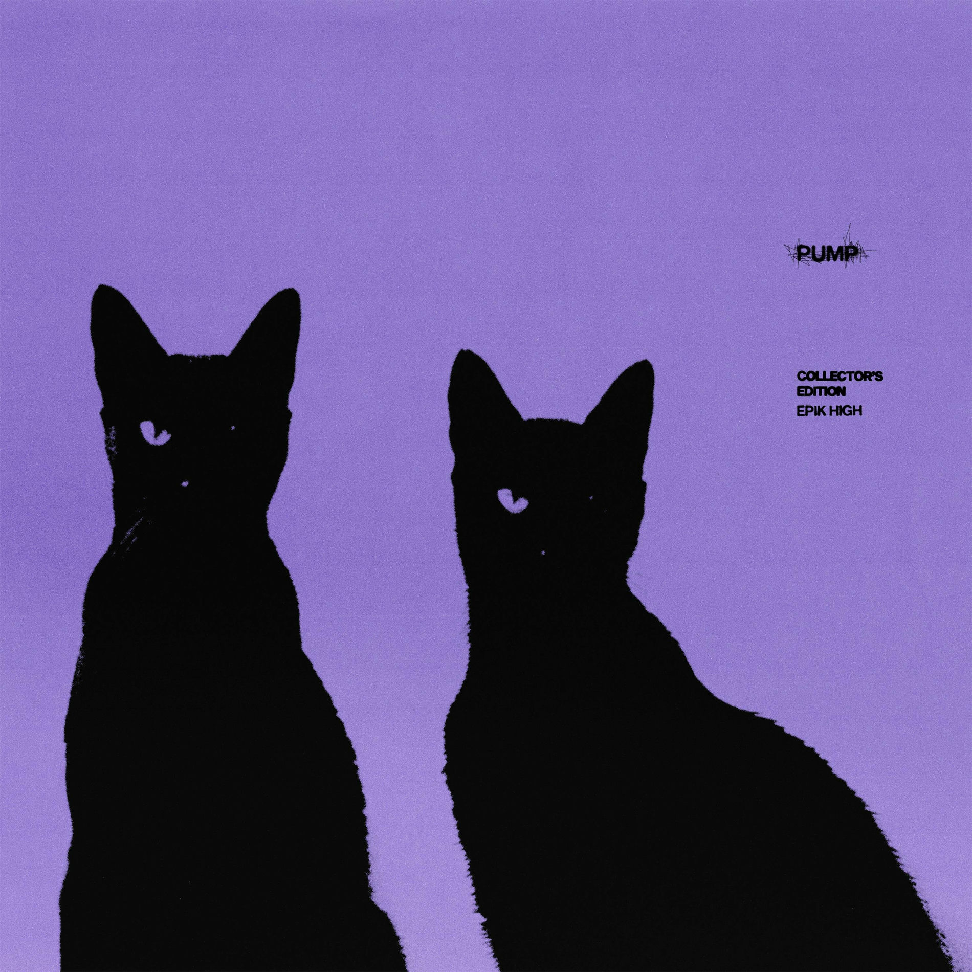 Album cover of PUMP COLLECTOR’S EDITION