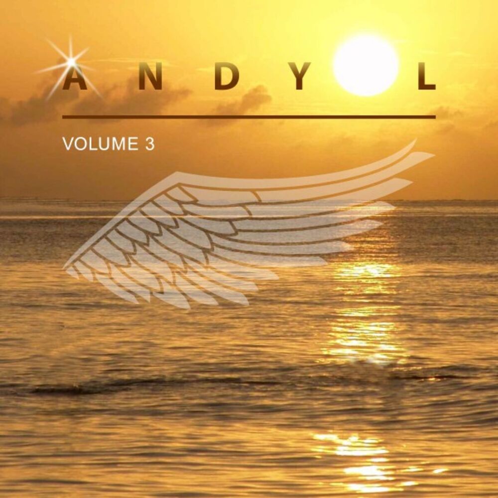 Picture of Andy L, Vol. 3