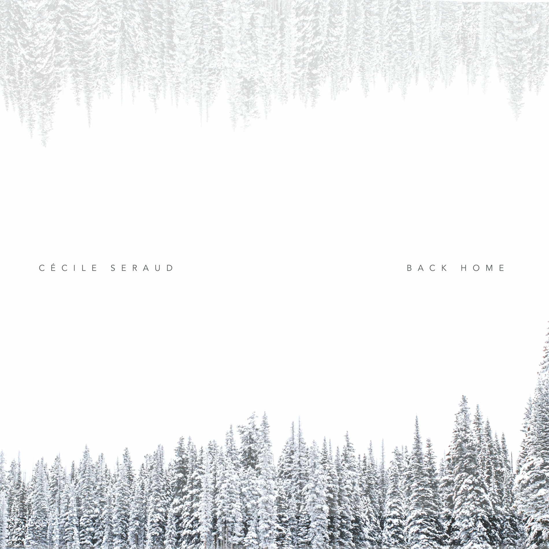 Album cover of Back Home