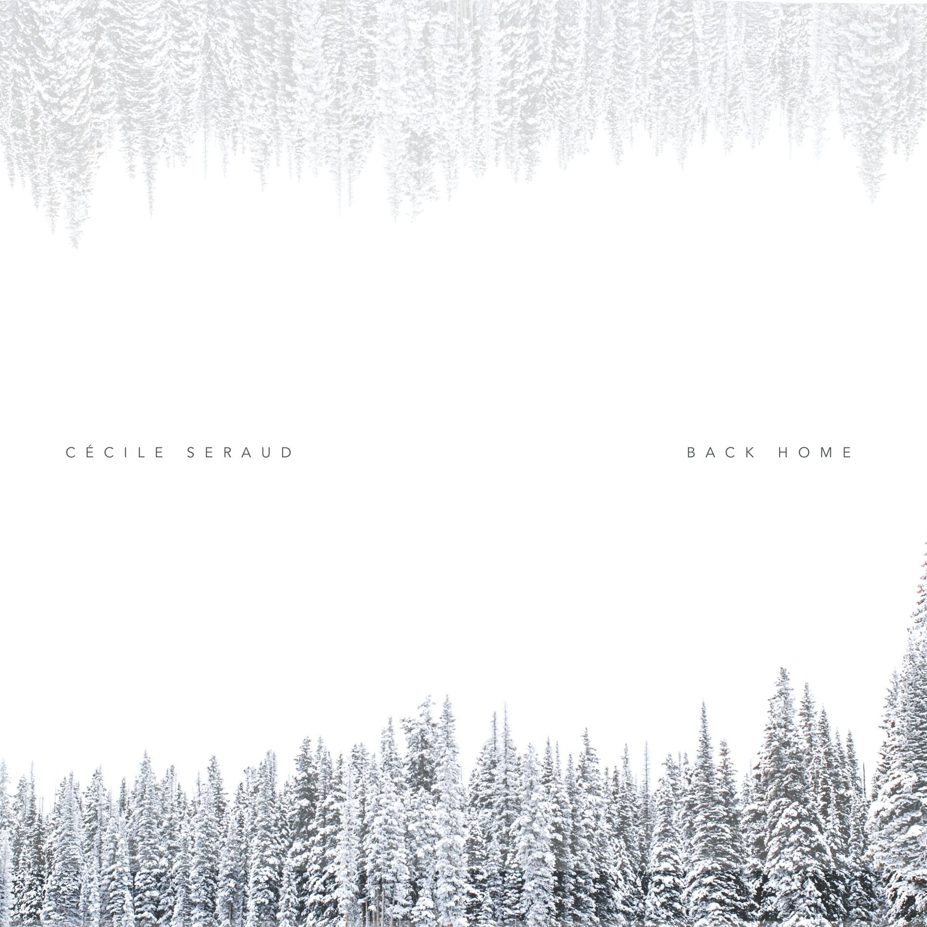 Album cover of Back Home