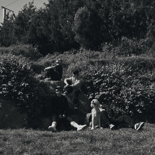 Haan – Ashes – Single