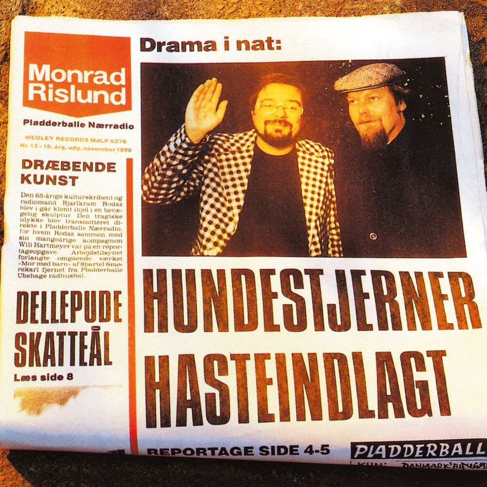 Picture of Hundestjerner Hasteindlagt