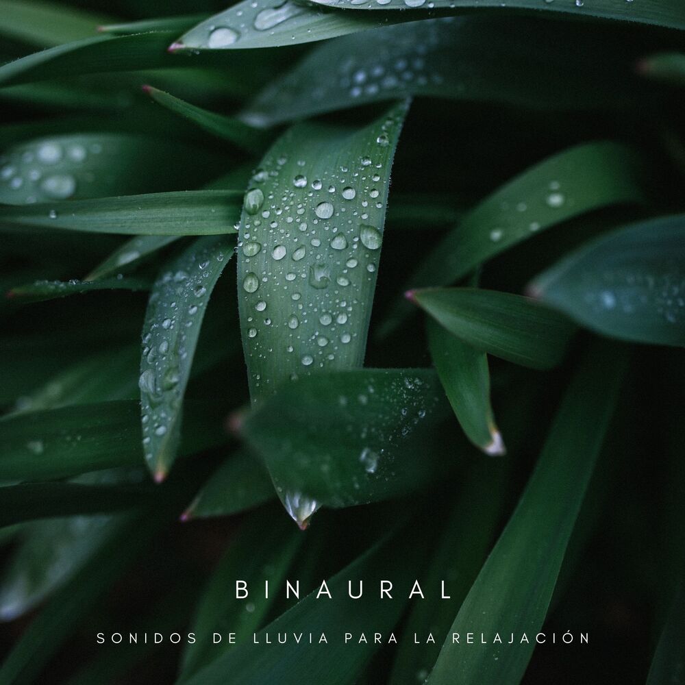 Picture of Binaural: Sonidos De Lluvia Para La Relajación