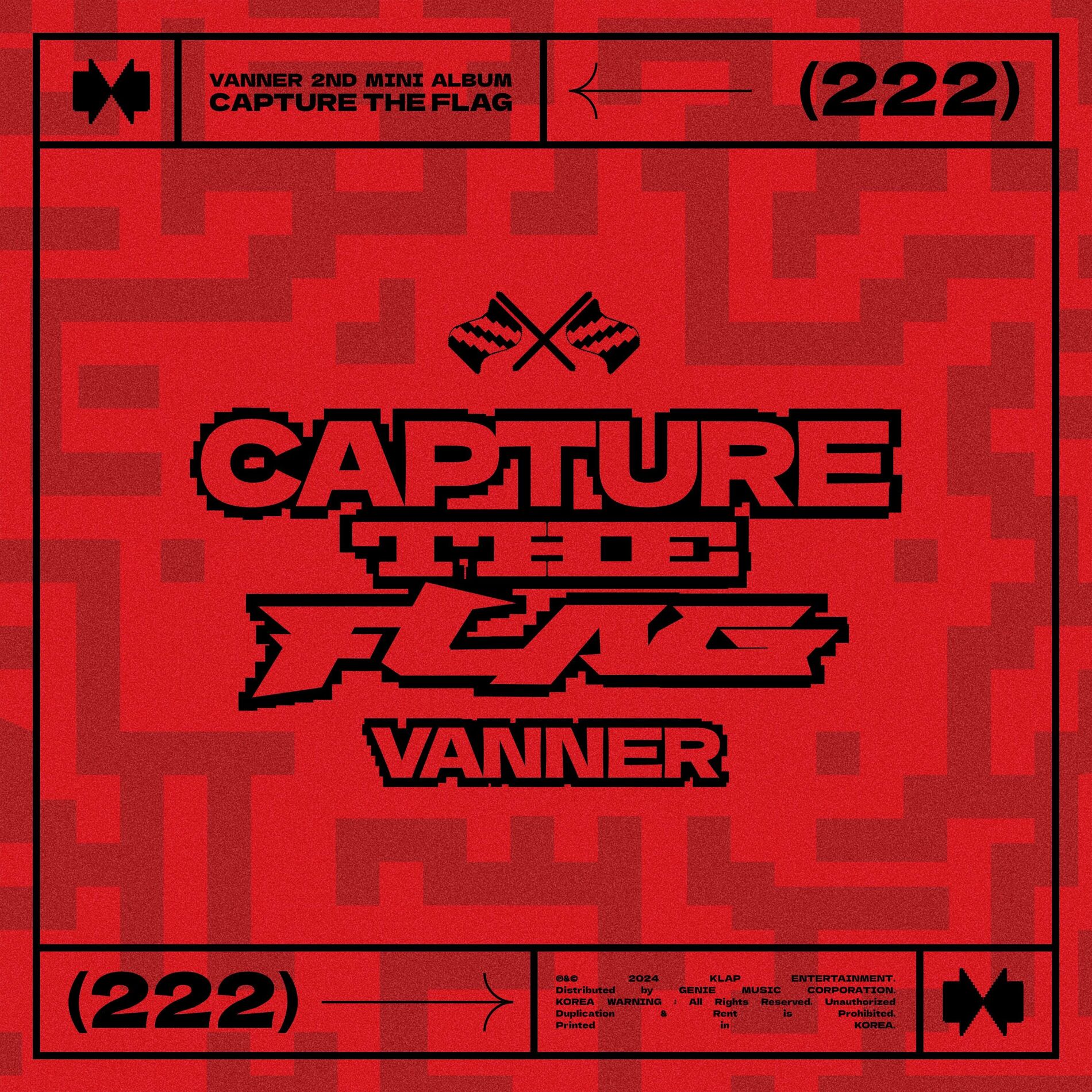 Album cover of CAPTURE THE FLAG