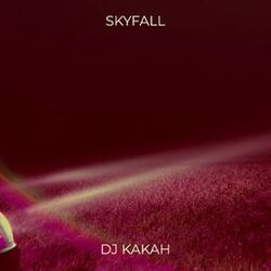 Cover of Skyfall
