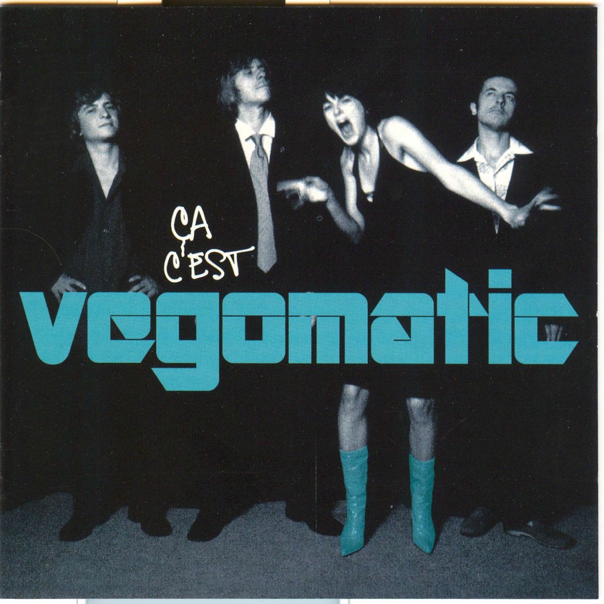 Album cover of Vegomatic theme
