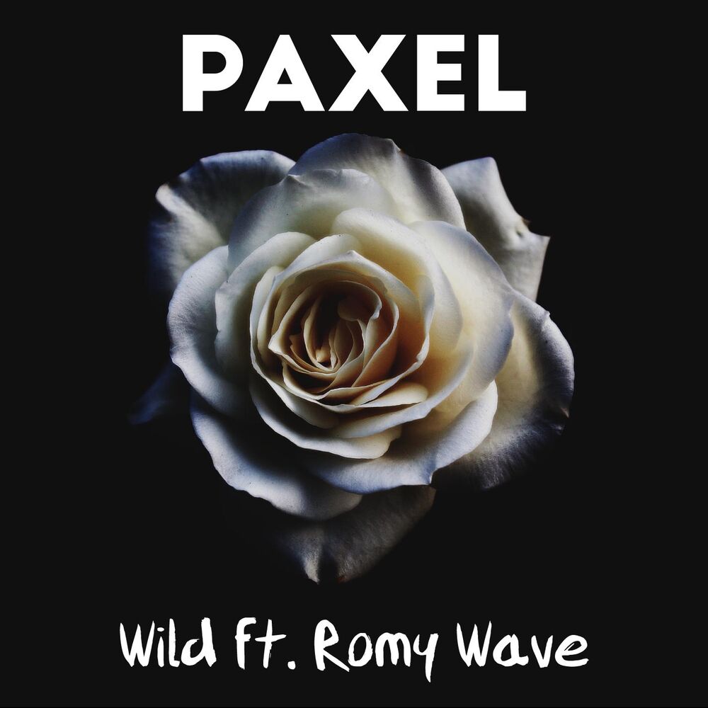 Picture of Wild (feat. Romy Wave)