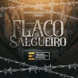 Cover of Flaco Salgueiro