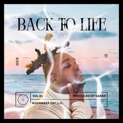 Cover of Back to Life