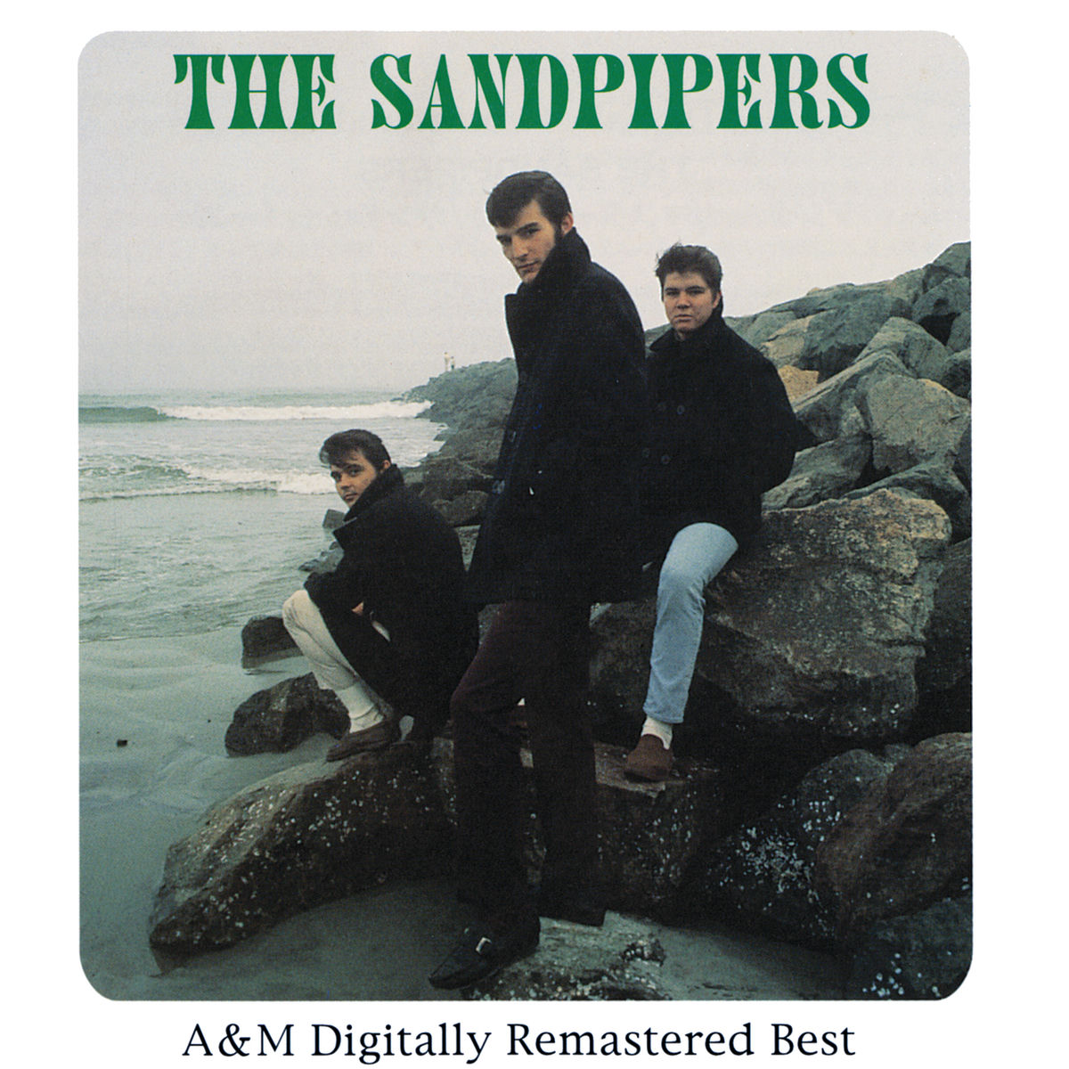 Album cover of A&M Digitally Remastered Best