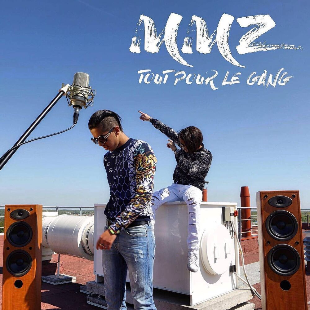 Picture of Tout pour le gang