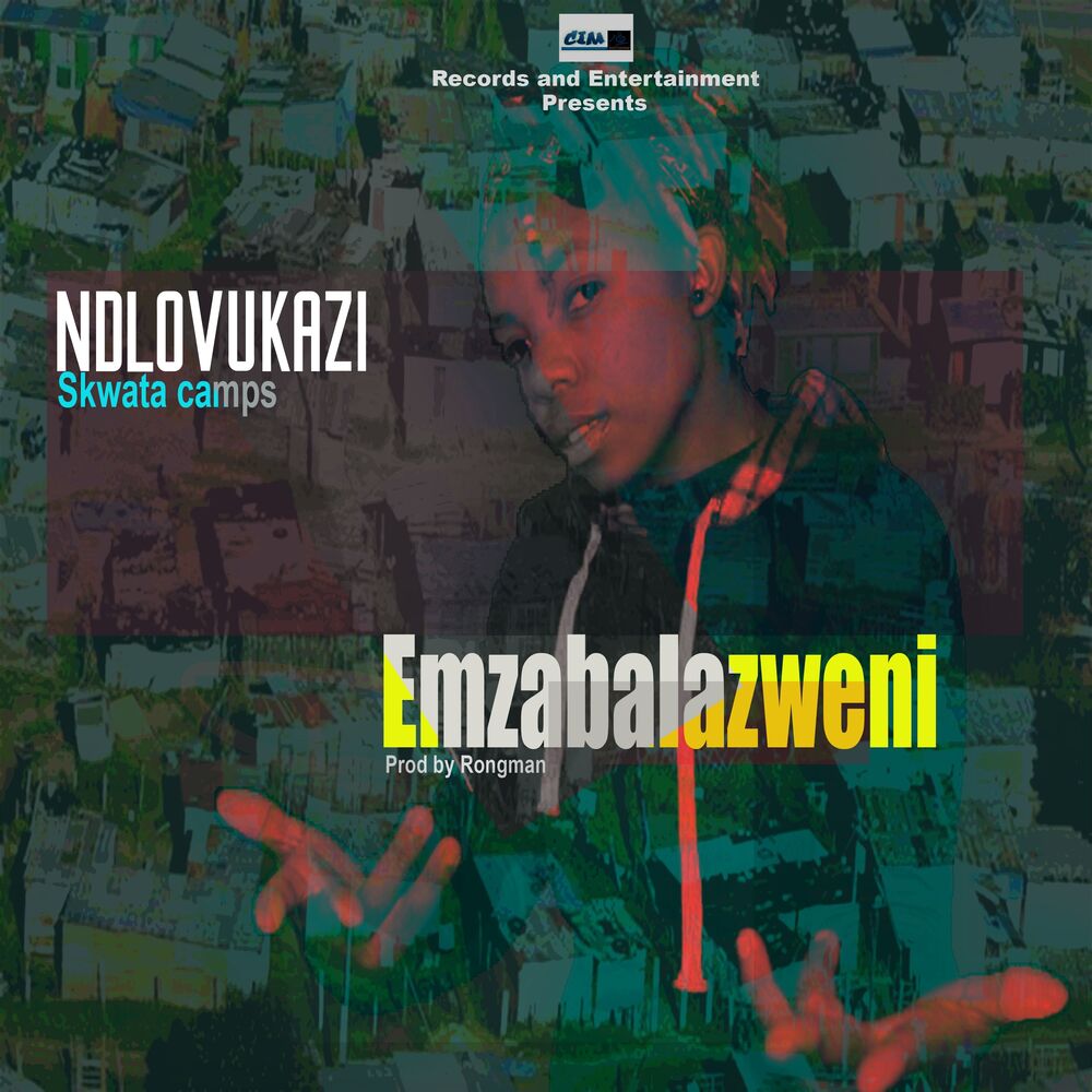Picture of Skwata Camps ' Emzabalazweni'