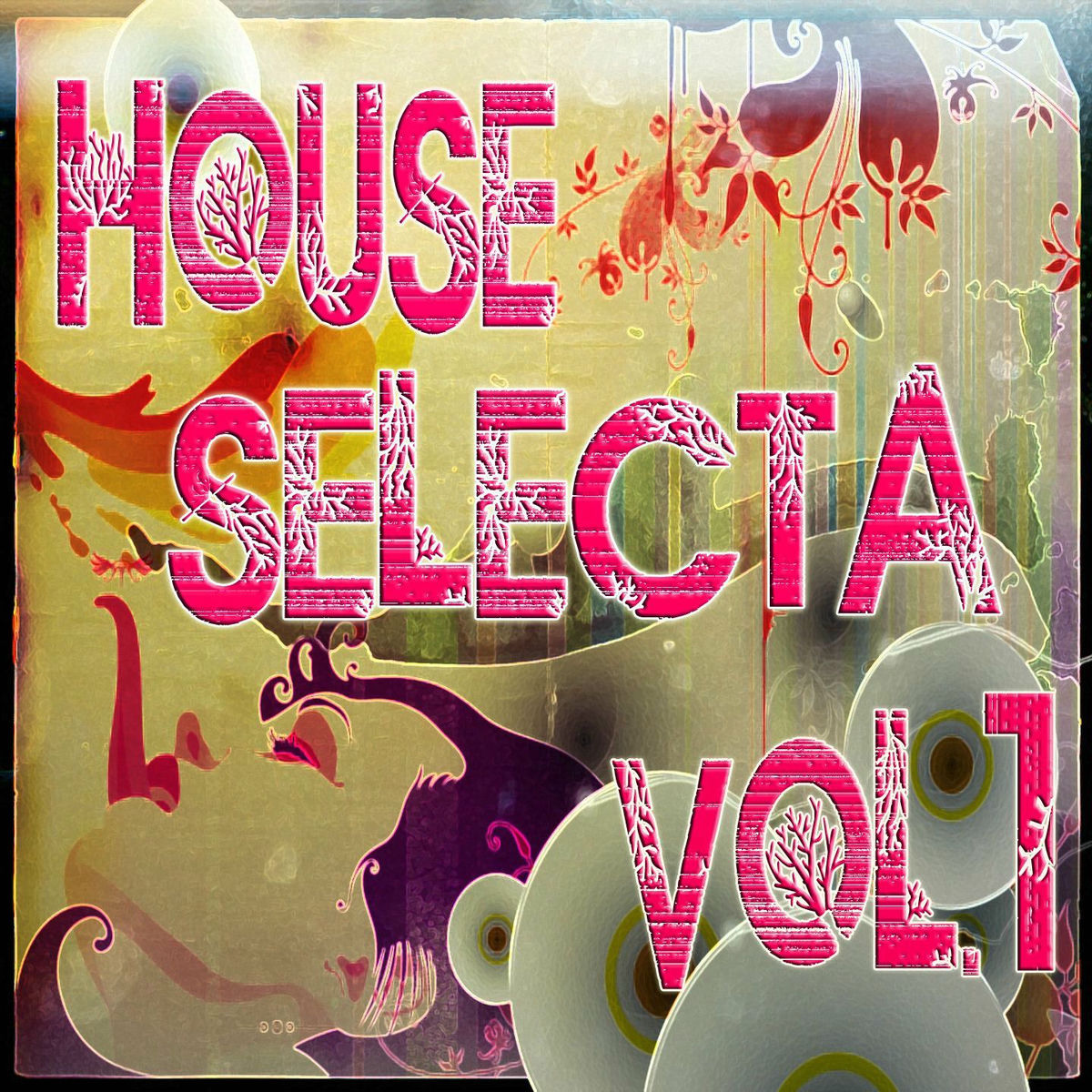 Album cover of House Selecta, Vol. 1