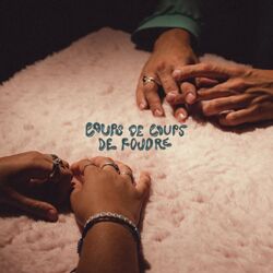 Cover of coups de coups de foudre