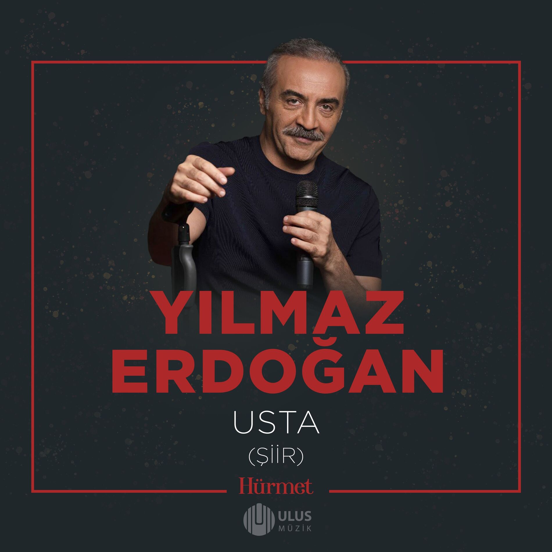 Album cover of Usta (Şiir) (İbrahim Erkal Hürmet)