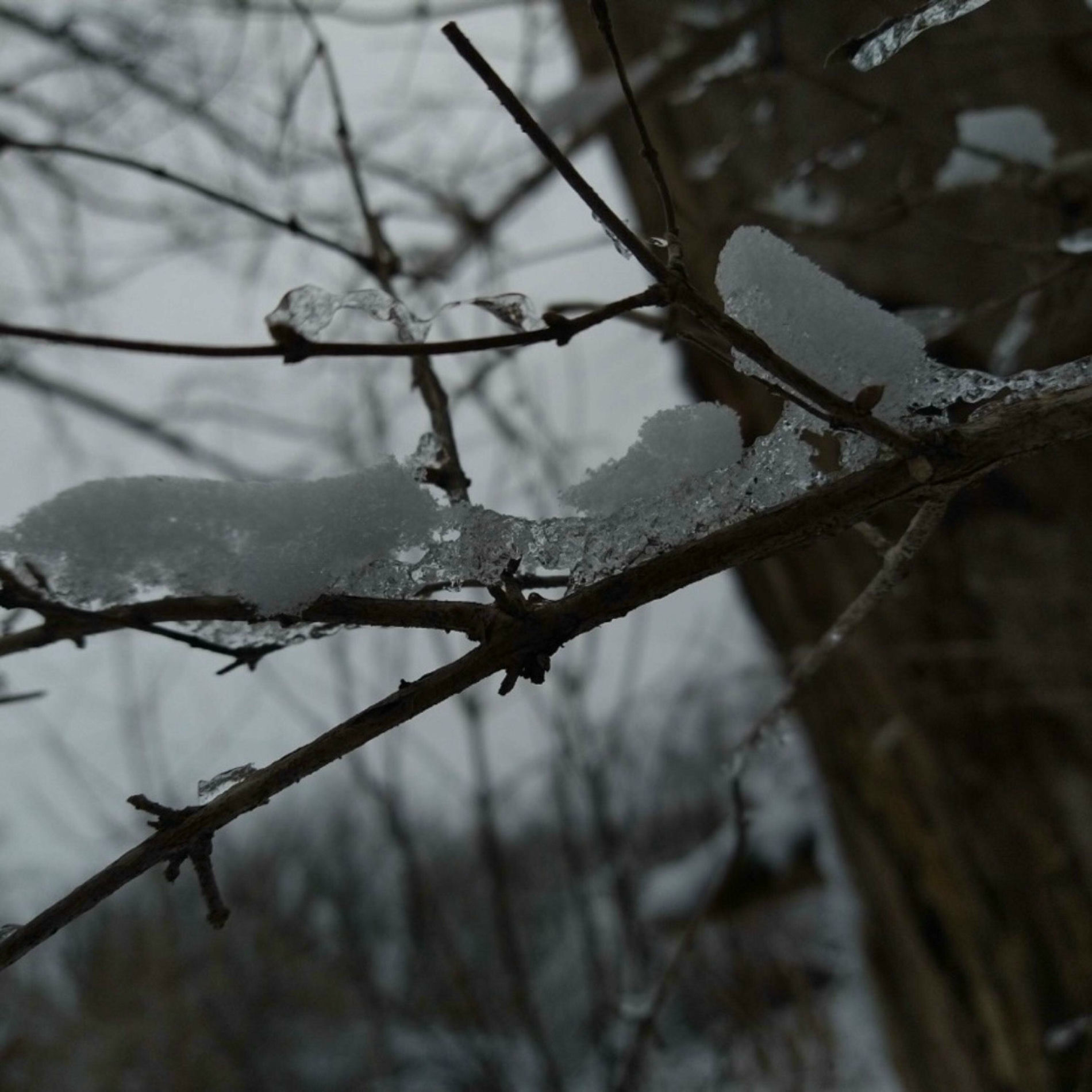 Album cover of shake (feat. hiraeth)