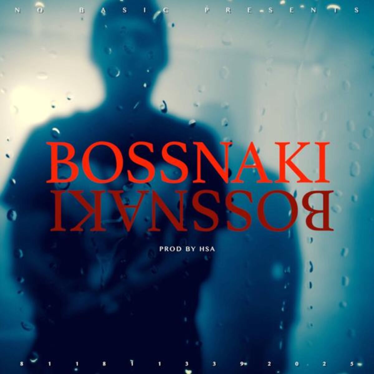 Album cover of Bossnaki