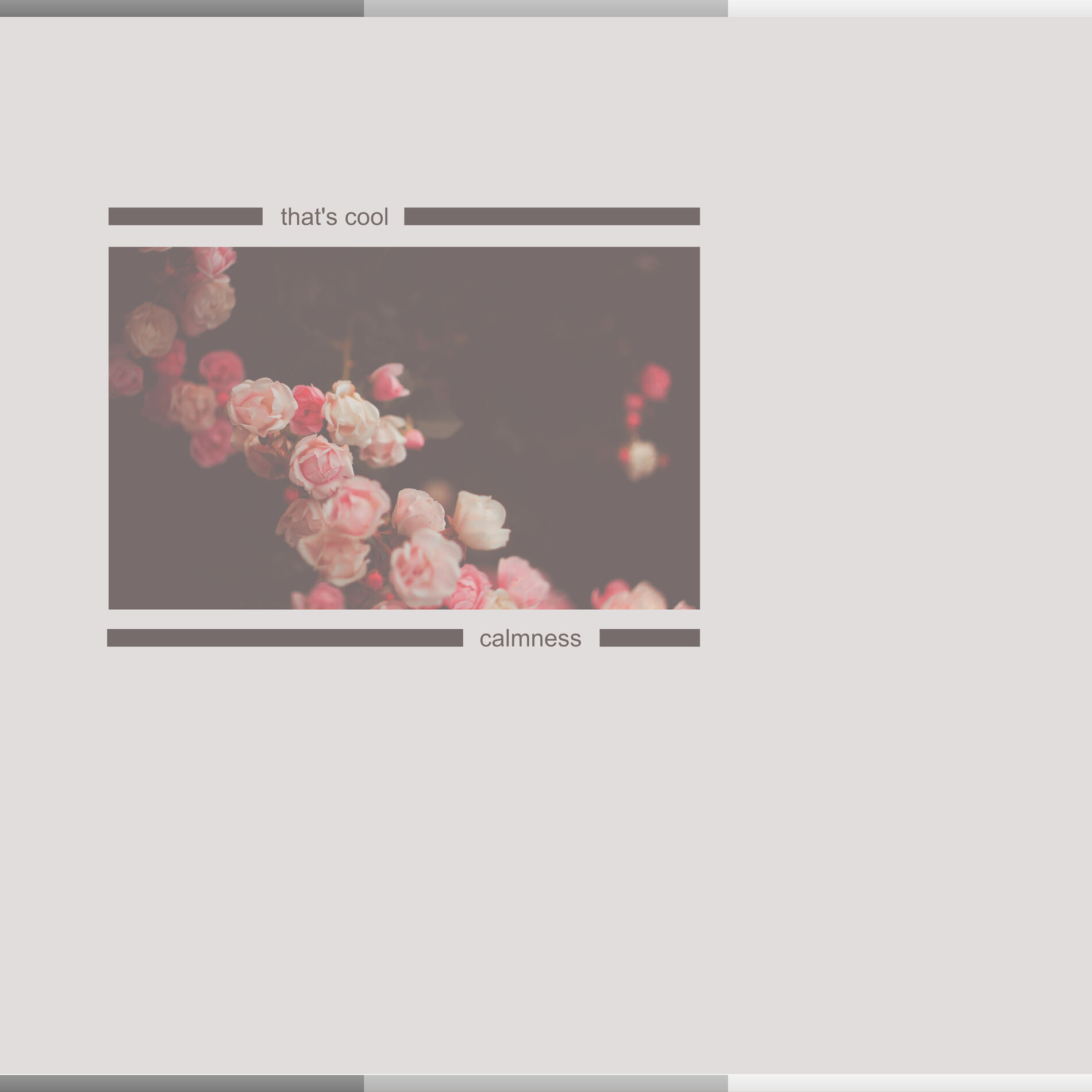 Album cover of Calmness