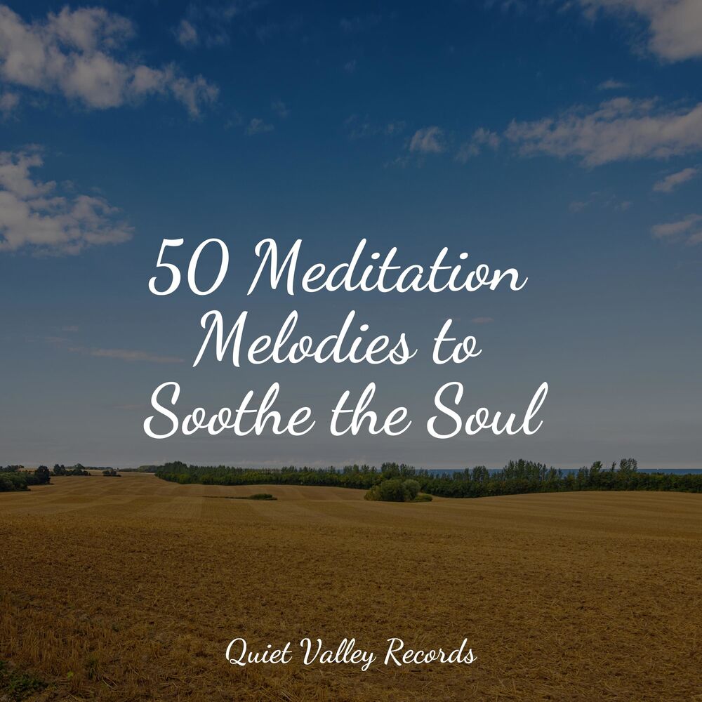 Picture of 50 Meditation Melodies to Soothe the Soul