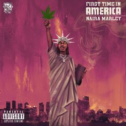 Cover of First Time in America