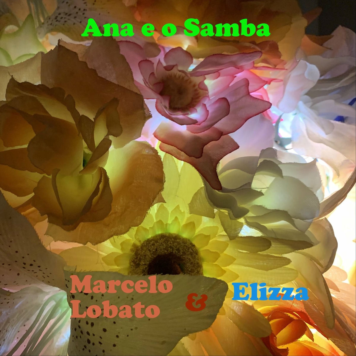 Album cover of Ana e o Samba