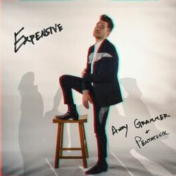 Cover of Expensive