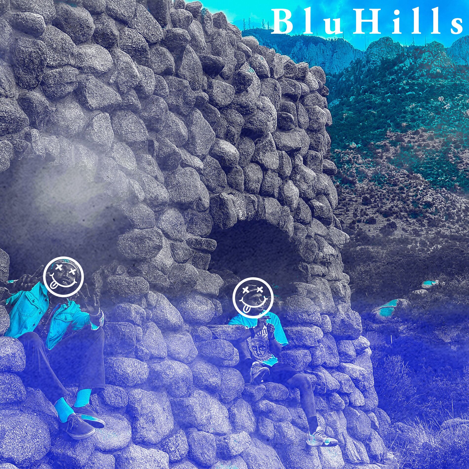 Album cover of BluHills
