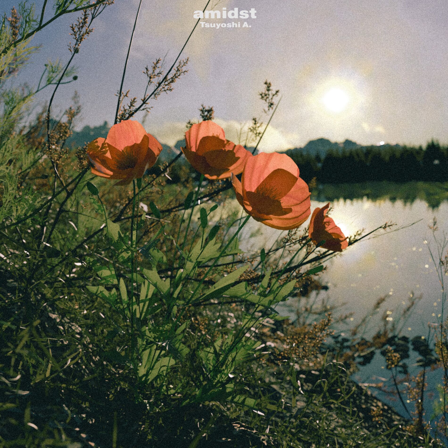 Album cover of amidst