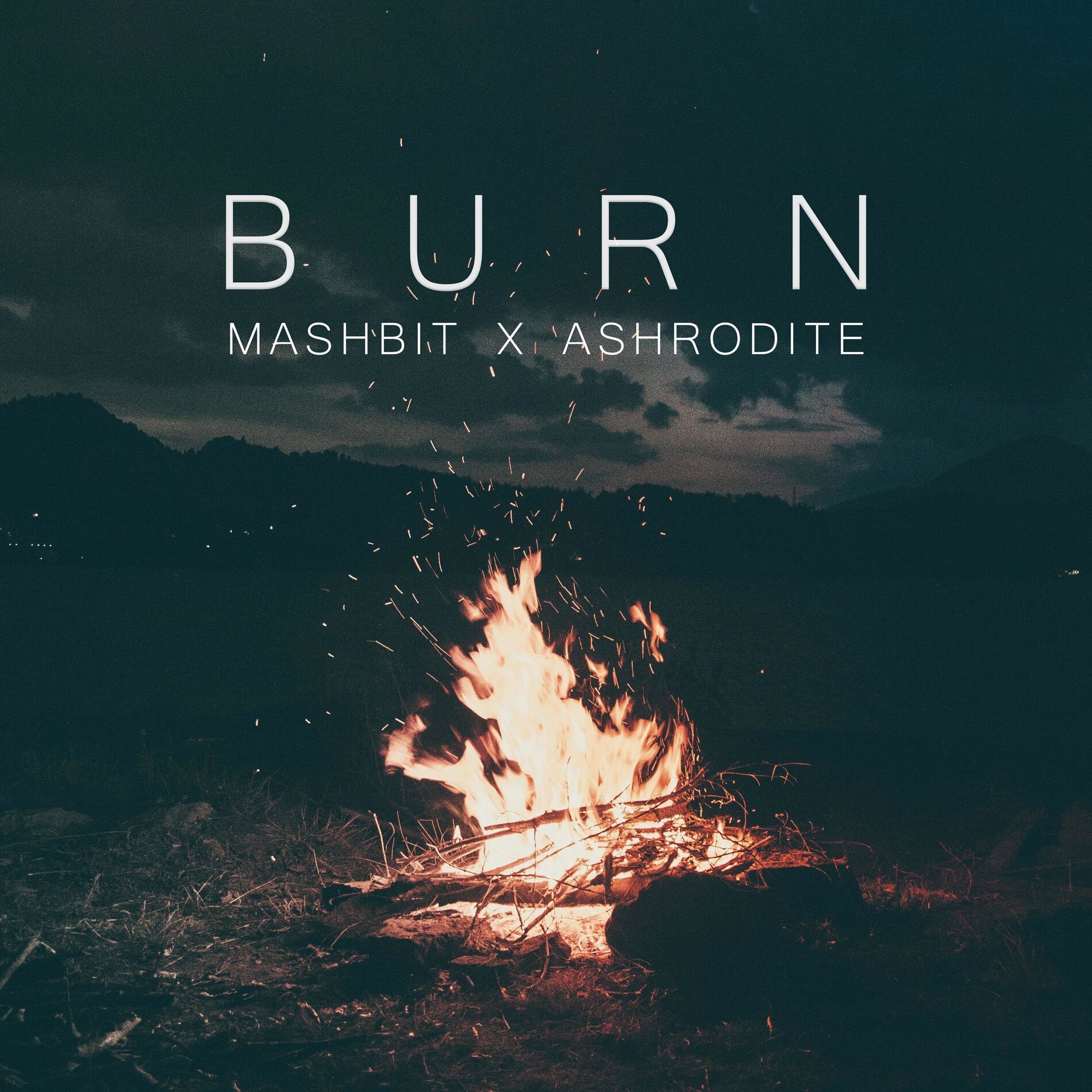 Album cover of Burn