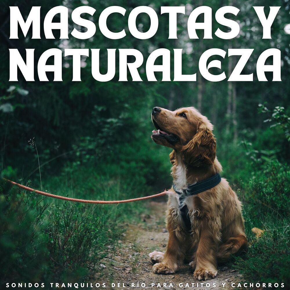 Picture of Mascotas Y Naturaleza: Sonidos Tranquilos Del Río Para Gatitos Y Cachorros