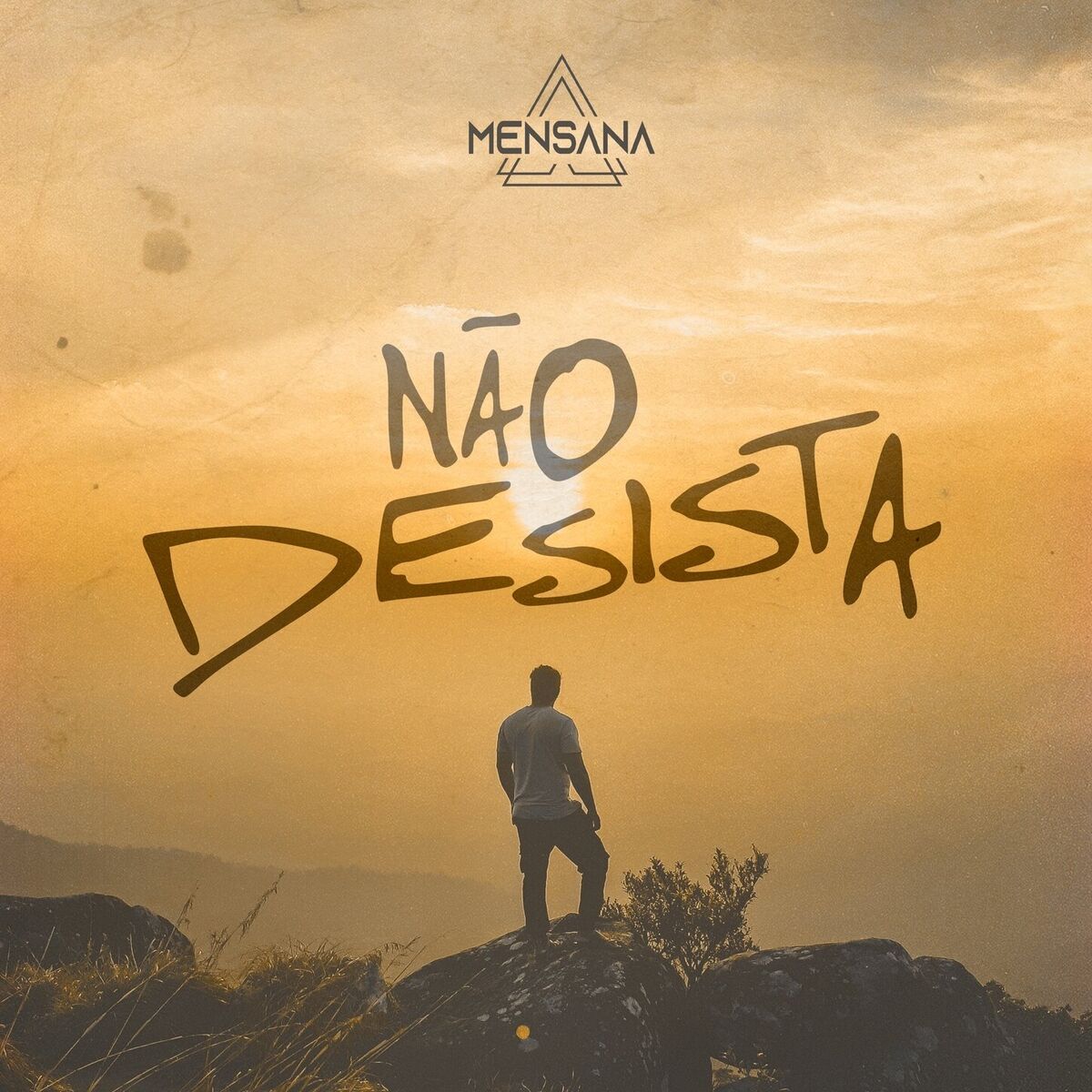 Album cover of Não Desista