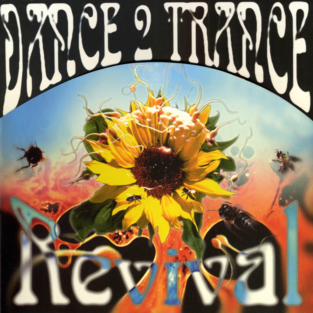 Album cover of Warrior