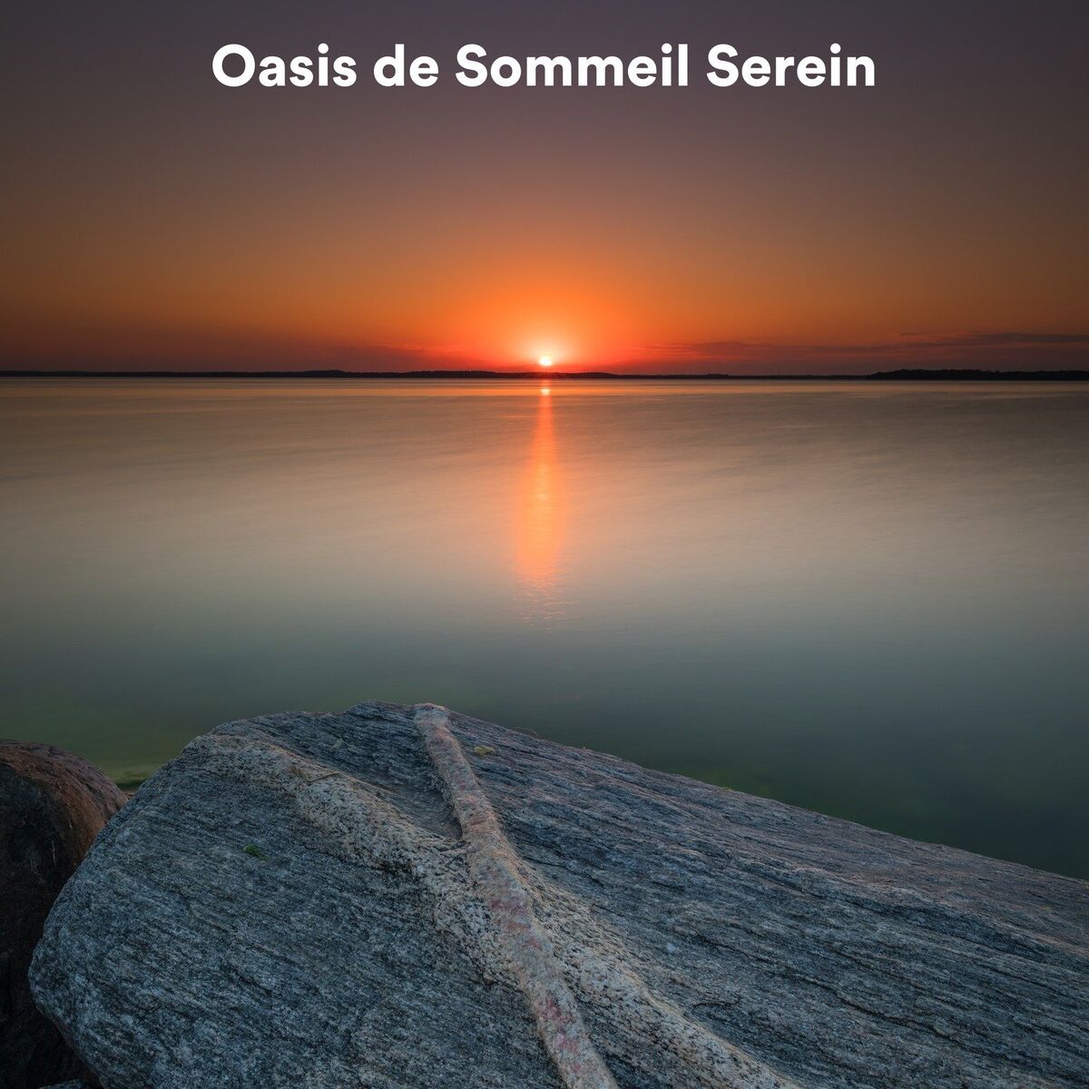 Album cover of Happiness