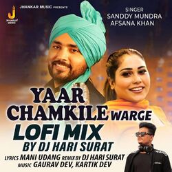 Cover of Yaar Chamkile Warge (Lofi Mix)