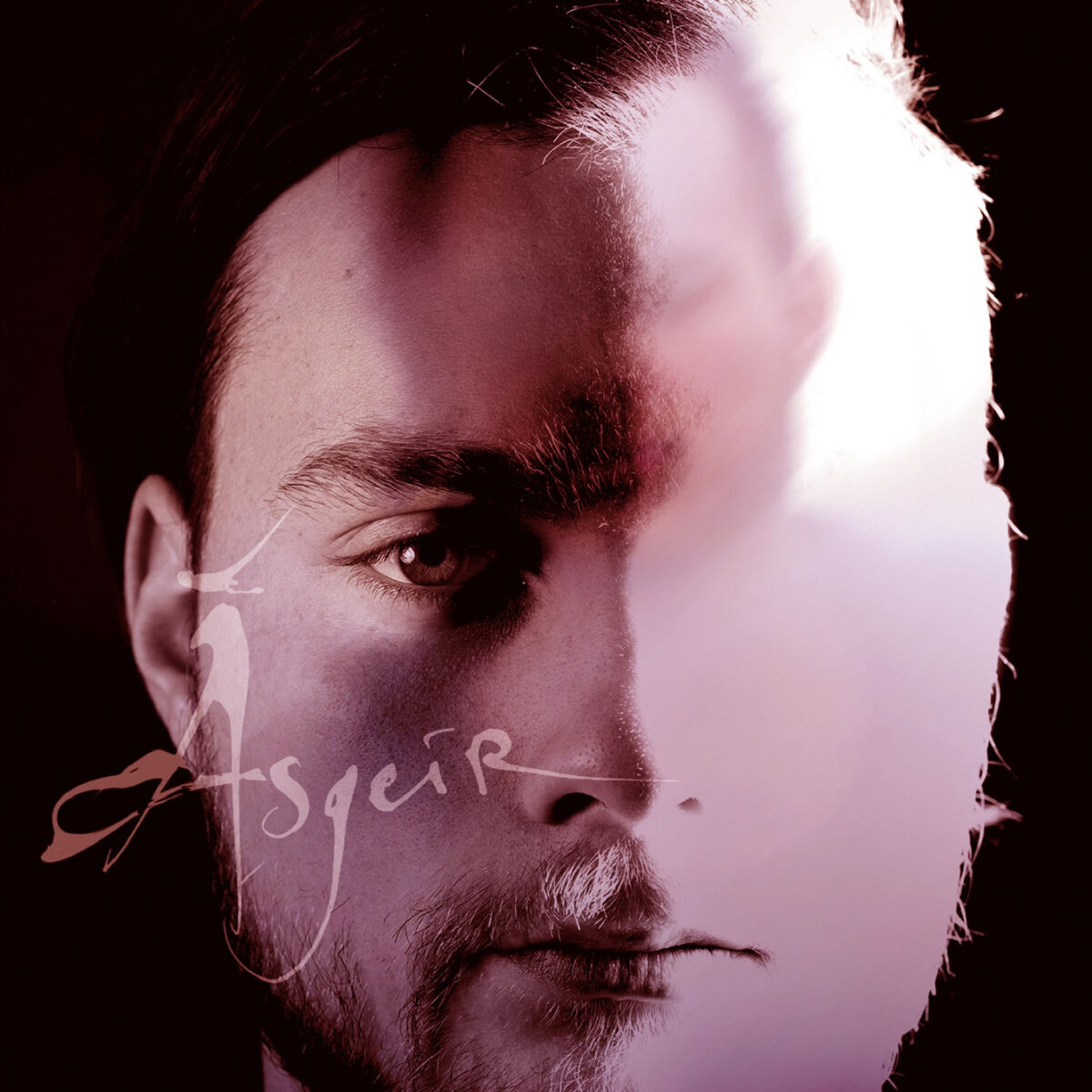 Album cover of Dýrð Í Dauðaþögn
