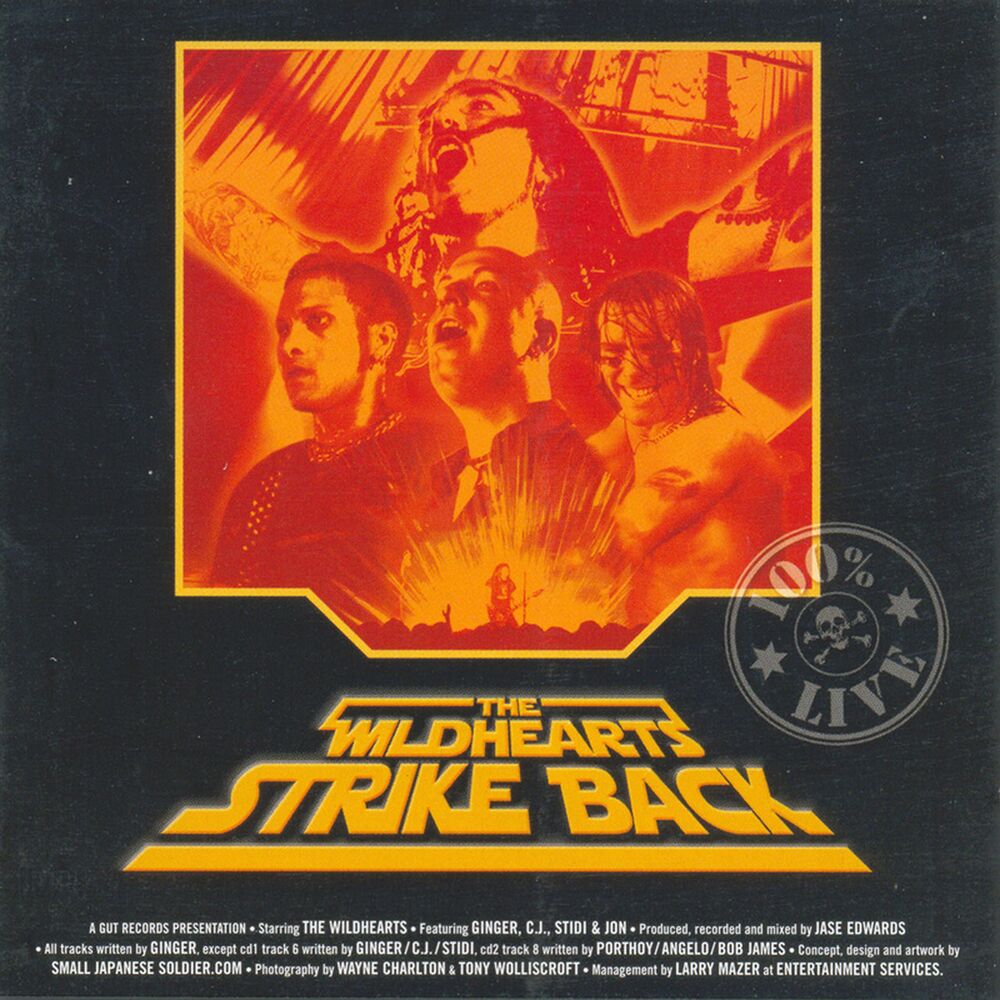 Picture of Strike Back