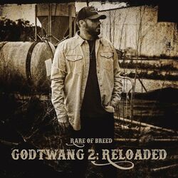 Cover of Godtwang 2: Reloaded