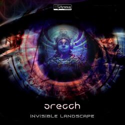 Cover of Invisible Landscape