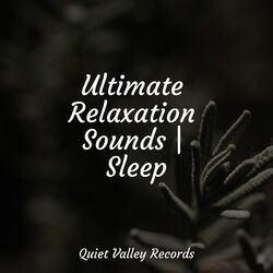 Cover of Ultimate Relaxation Sounds | Sleep