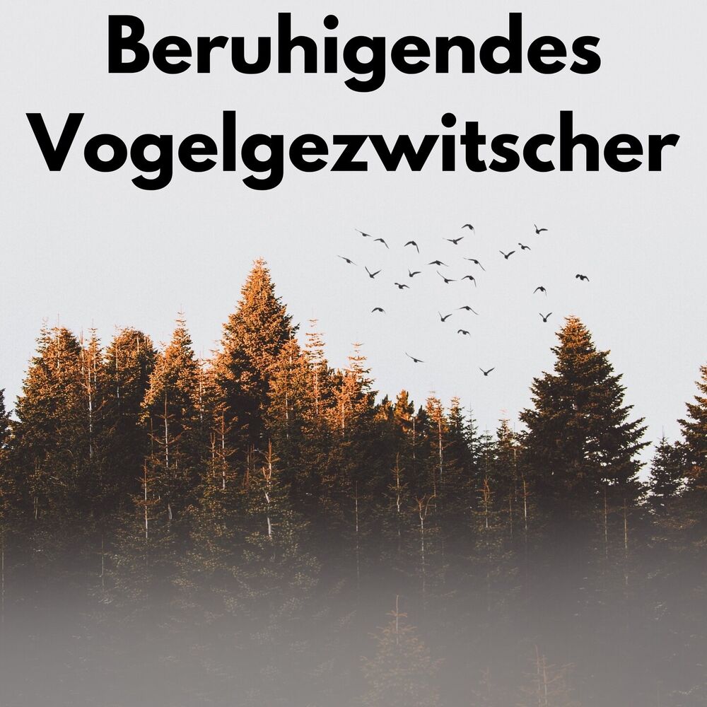 Picture of Beruhigendes Vogelgezwitscher
