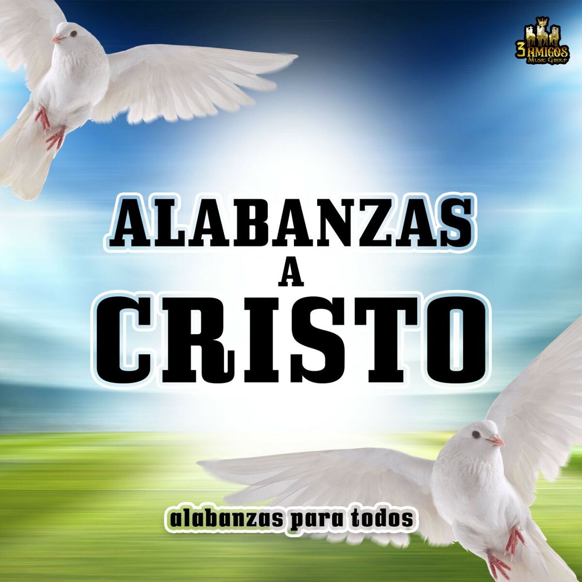 Album cover of Alabanzas Para Todos