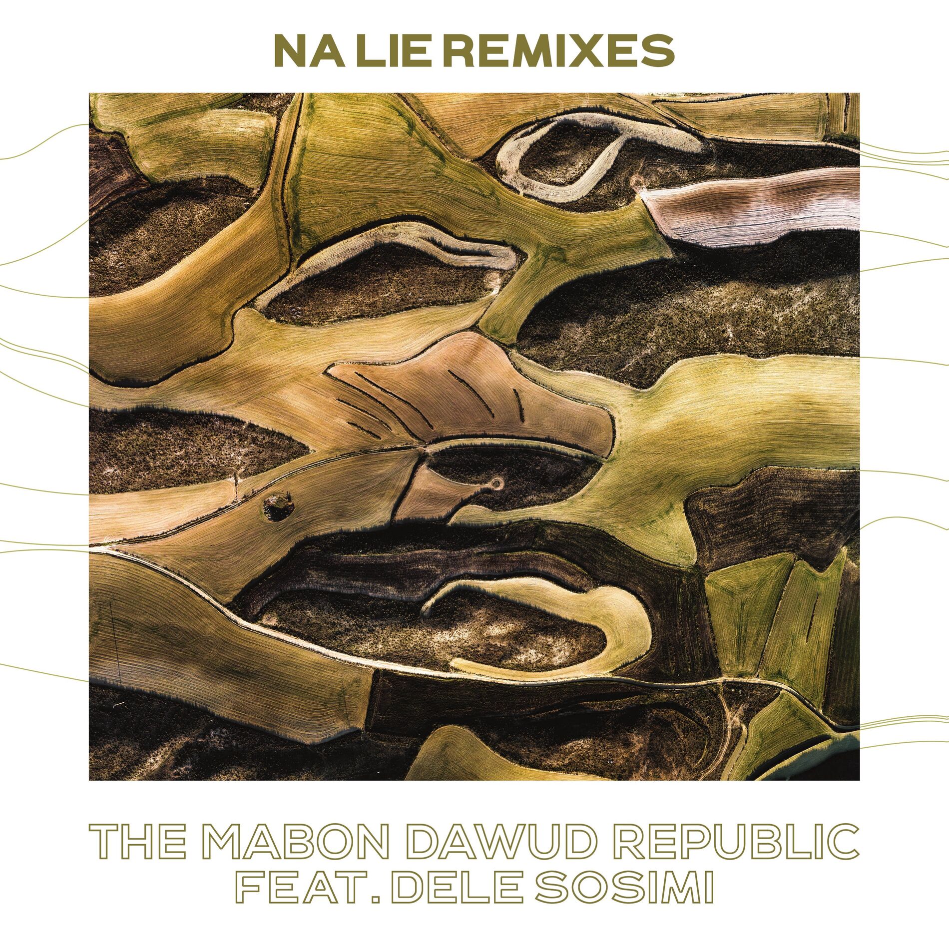 Album cover of Na Lie Remixes